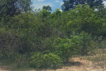 Bukit Piatu Agricultural Land, Mukim Dengkil, Sepang, Selangor