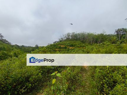 Tanah Pertanian dah siap teres di Kg Kemahang Hilir Kuala Lipis untuk dijual, Pahang, Kuala Lipis