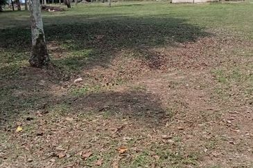 Jalan Seberang Balok