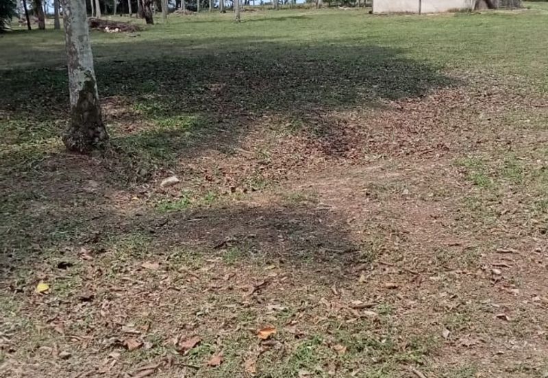 Jalan Seberang Balok