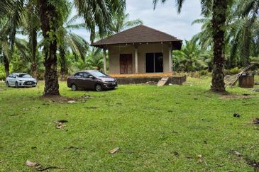 Tanah Pertanian Kg Semangat Mukim Penor near to Ubai