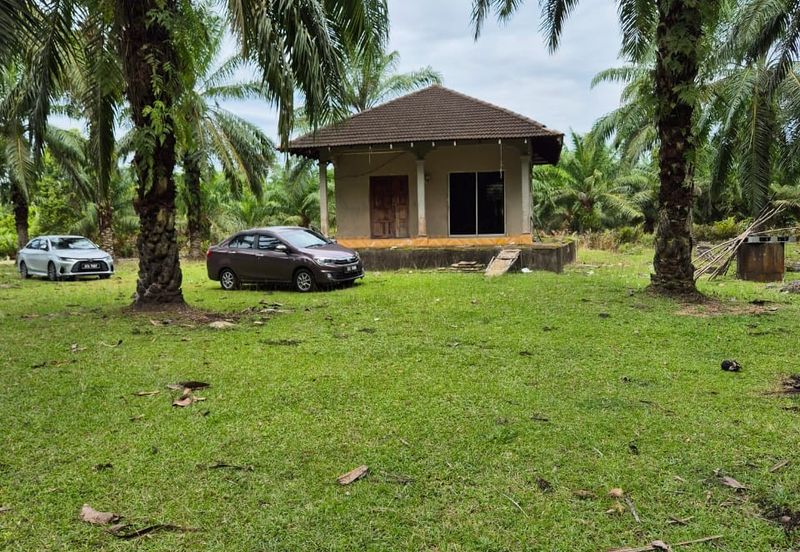 Tanah Pertanian Kg Semangat Mukim Penor near to Ubai