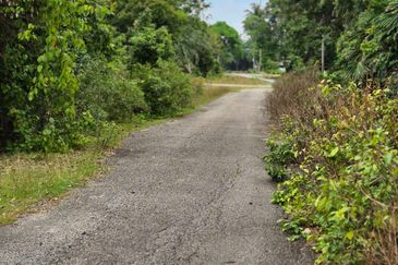 Tanah Pertanian Kg Semangat Mukim Penor near to Ubai