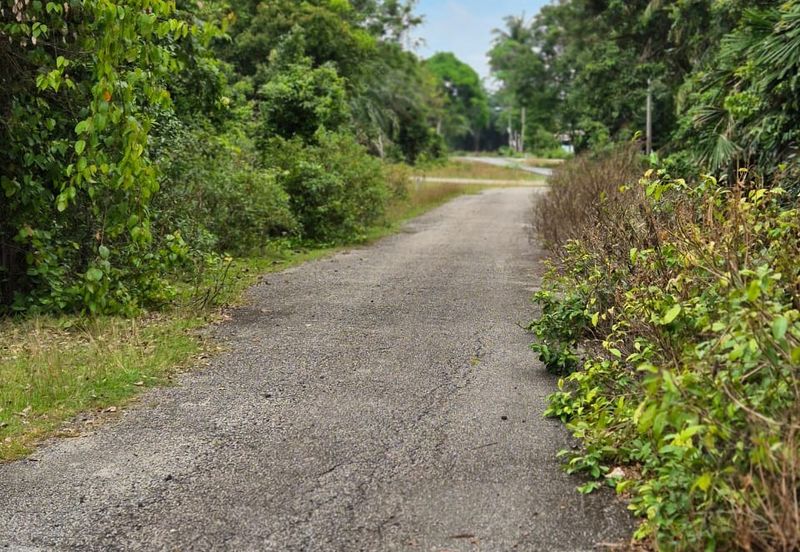 Tanah Pertanian Kg Semangat Mukim Penor near to Ubai