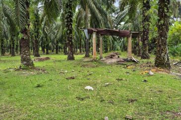Tanah Pertanian Kg Semangat Mukim Penor near to Ubai