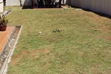 TAMAN GELANGGI PERDANA