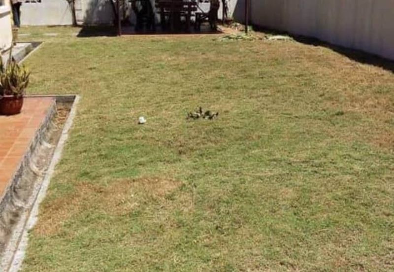 TAMAN GELANGGI PERDANA