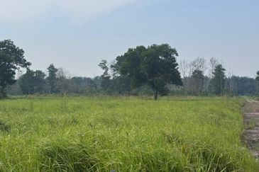 Tanah Pertanian 1 Ekar Seri Damai