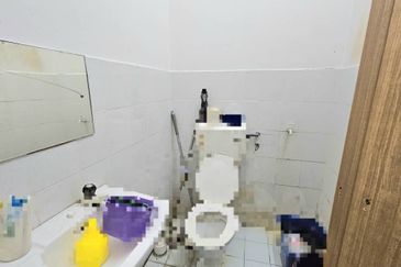 Taman Pelindung Maju 1