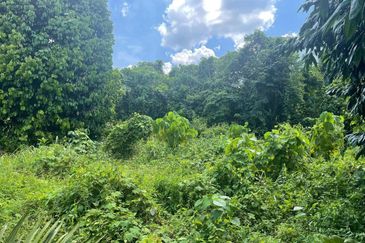 Tanah Lot Pertanian Pulau Manis near to Sungai Pahang