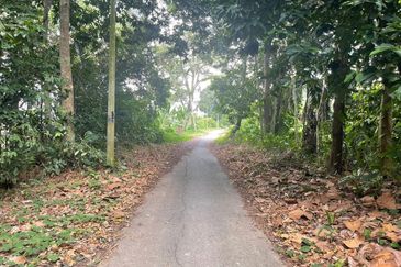 Tanah Lot Pertanian Pulau Manis near to Sungai Pahang