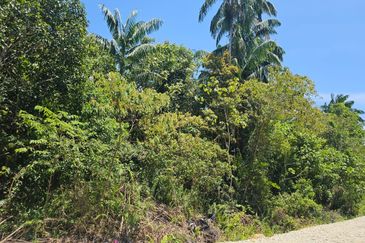 Taman Binjai Firdaus