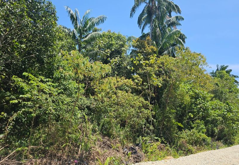 Taman Binjai Firdaus