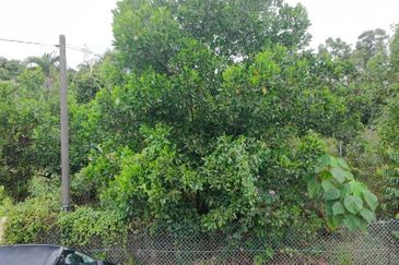 Tanah Lot Taman Bukit Kuang Sentosa near to Telok Kalong