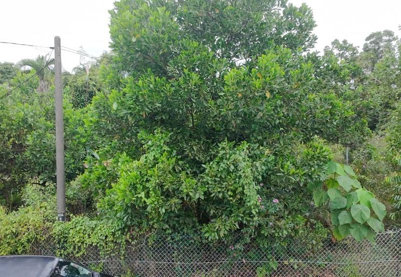 Tanah Lot Taman Bukit Kuang Sentosa near to Telok Kalong