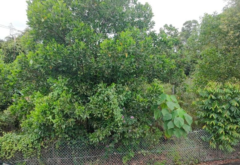Tanah Lot Taman Bukit Kuang Sentosa near to Telok Kalong