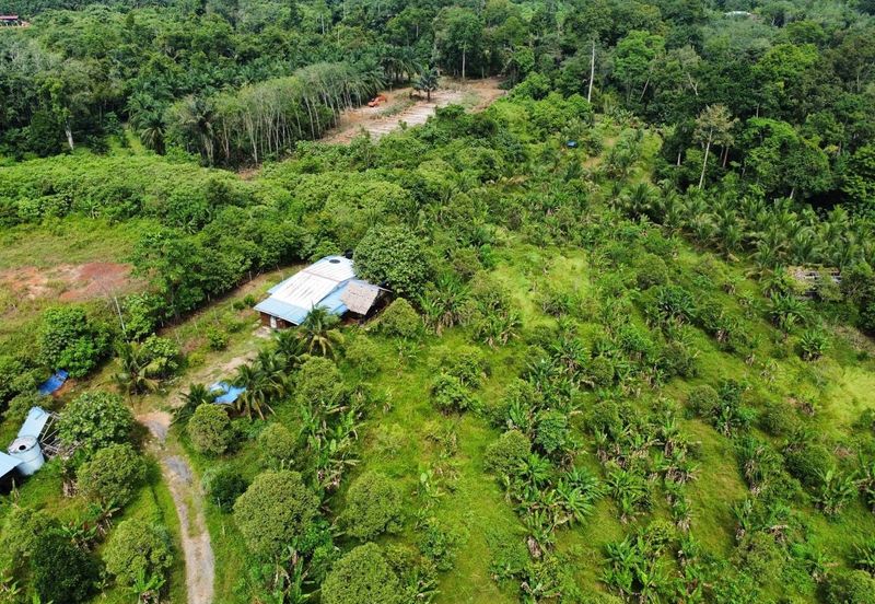 Tanah Kebun Kg Ketam near Exit Tol Temerloh