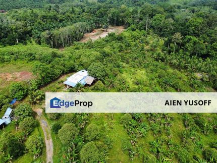 Tanah Kebun Kg Ketam near Exit Tol Temerloh, Pahang, Temerloh