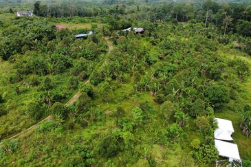 Tanah Kebun Kg Ketam near Exit Tol Temerloh