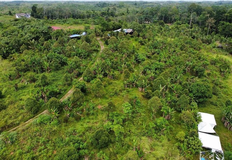 Tanah Kebun Kg Ketam near Exit Tol Temerloh