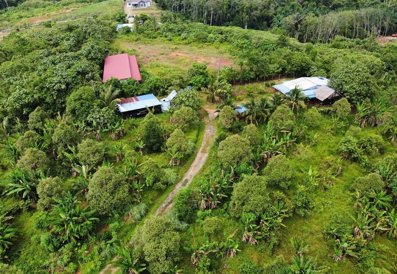 Tanah Kebun Kg Ketam near Exit Tol Temerloh
