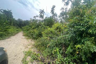 TANAH LOT BANGLO KG MAK LAGAM NEAR TO BANDAR CHUKAI