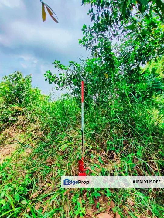 TANAH PERTANIAN TEPI JALAN UTAMA JALAN PEKAN KE KUANTAN NEAR TO BANDAR PEKAN, Pahang, Pekan
