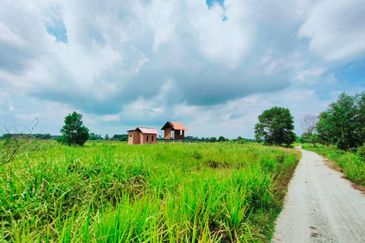 TANAH PERTANIAN TEPI JALAN UTAMA JALAN PEKAN KE KUANTAN NEAR TO BANDAR PEKAN