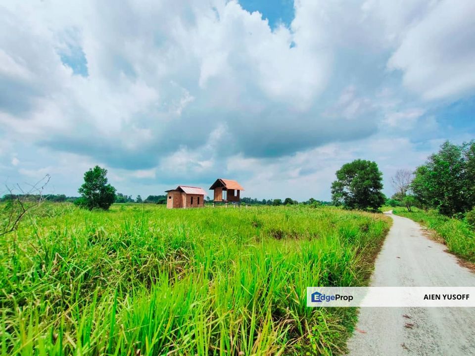 TANAH PERTANIAN TEPI JALAN UTAMA JALAN PEKAN KE KUANTAN NEAR TO BANDAR PEKAN, Pahang, Pekan