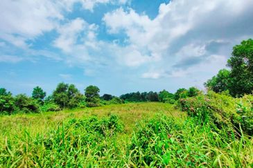 TANAH PERTANIAN TEPI JALAN UTAMA JALAN PEKAN KE KUANTAN NEAR TO BANDAR PEKAN
