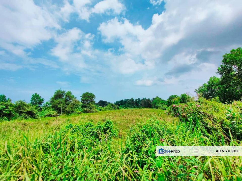 TANAH PERTANIAN TEPI JALAN UTAMA JALAN PEKAN KE KUANTAN NEAR TO BANDAR PEKAN, Pahang, Pekan
