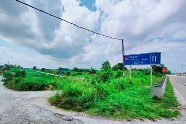 TANAH PERTANIAN TEPI JALAN UTAMA JALAN PEKAN KE KUANTAN NEAR TO BANDAR PEKAN