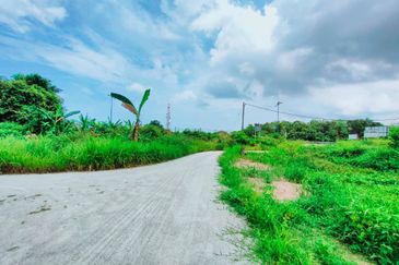 TANAH PERTANIAN TEPI JALAN UTAMA JALAN PEKAN KE KUANTAN NEAR TO BANDAR PEKAN