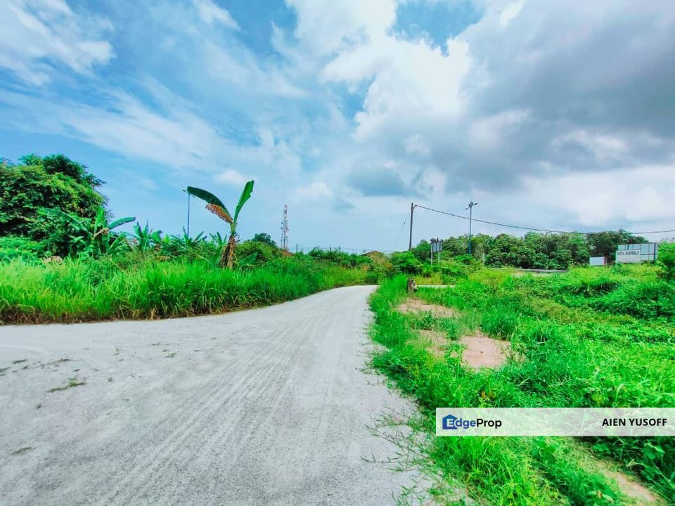TANAH PERTANIAN TEPI JALAN UTAMA JALAN PEKAN KE KUANTAN NEAR TO BANDAR PEKAN, Pahang, Pekan