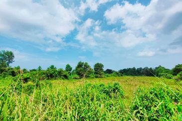 TANAH PERTANIAN TEPI JALAN UTAMA JALAN PEKAN KE KUANTAN NEAR TO BANDAR PEKAN