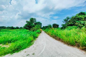 TANAH PERTANIAN TEPI JALAN UTAMA JALAN PEKAN KE KUANTAN NEAR TO BANDAR PEKAN