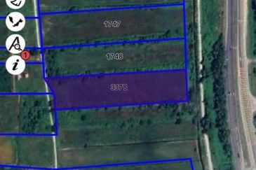 TANAH PERTANIAN TEPI JALAN UTAMA JALAN PEKAN KE KUANTAN NEAR TO BANDAR PEKAN