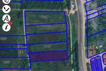 TANAH PERTANIAN TEPI JALAN UTAMA JALAN PEKAN KE KUANTAN NEAR TO BANDAR PEKAN