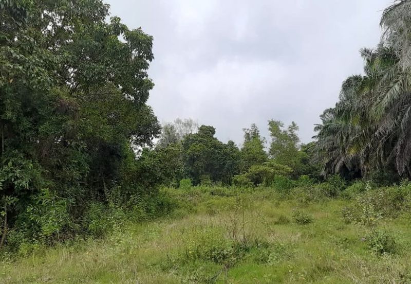 Tanah Lot Banglo Pantai Sepat near to Bandar Kuantan