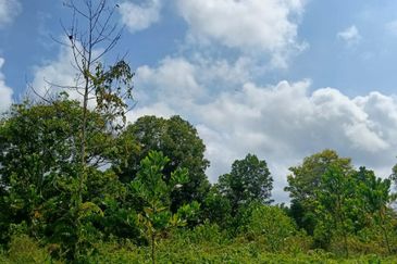 Tanah Pertanian Jaya Gading near to Airport Sas