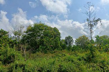 Tanah Pertanian Jaya Gading near to Airport Sas