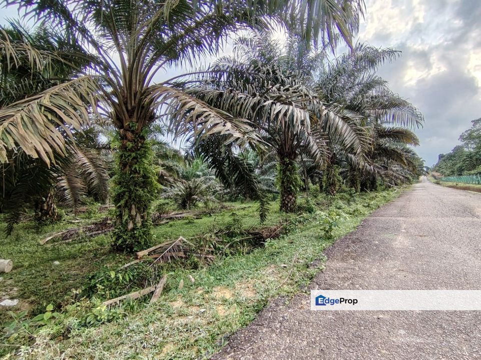 2 Lot Tanah Pertanian di Kampung Landas, Hulu Terengganu nak jual sekali gus., Terengganu, Ajil