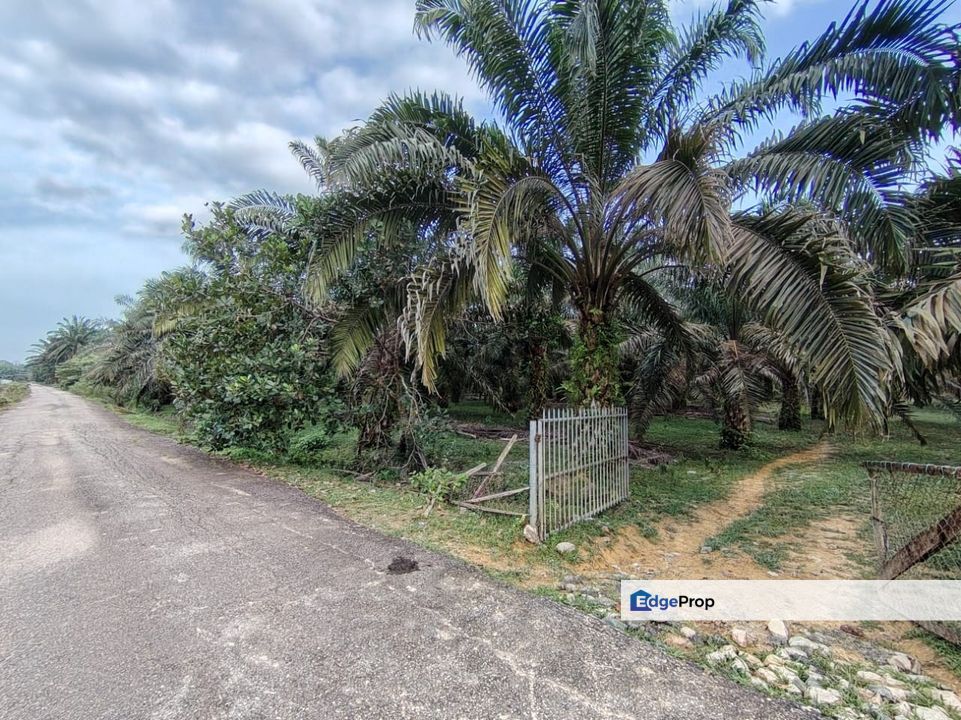 2 Lot Tanah Pertanian di Kampung Landas, Hulu Terengganu nak jual sekali gus., Terengganu, Ajil
