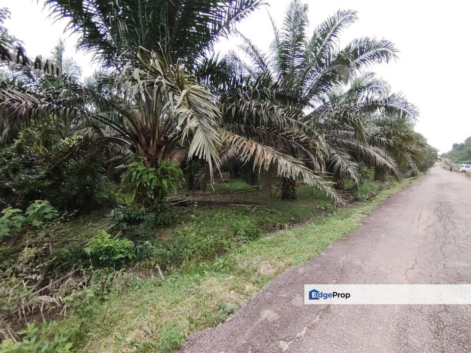 2 Lot Tanah Pertanian di Kampung Landas, Hulu Terengganu nak jual sekali gus., Terengganu, Ajil