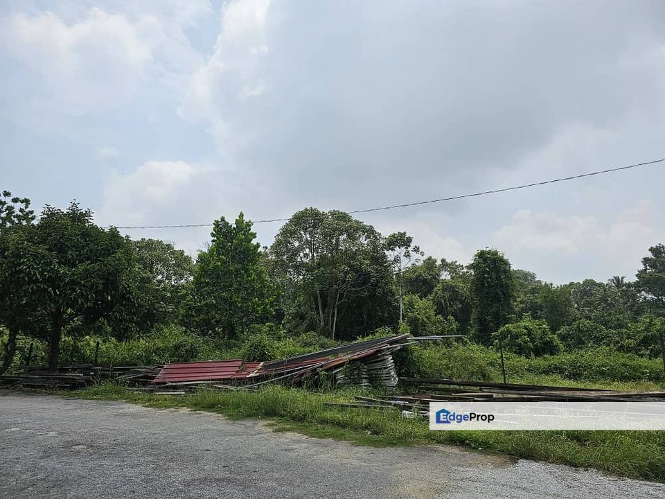 LOT TANAH PERTANIAN SUKU EKAR LEBIH DI SEBELAH TAMAN MAULANA PEKAN, Pahang, Pekan
