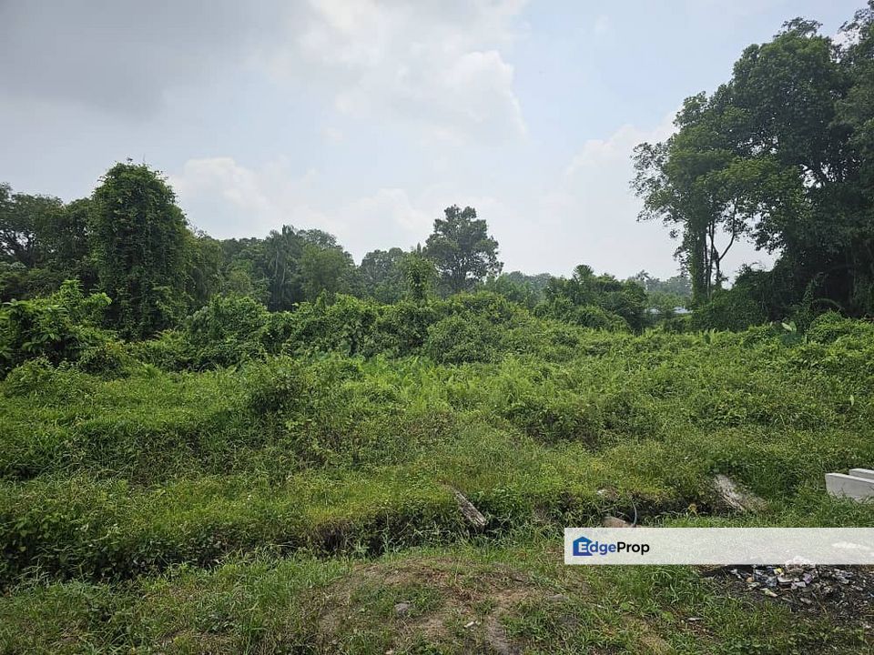 LOT TANAH PERTANIAN SUKU EKAR LEBIH DI SEBELAH TAMAN MAULANA PEKAN, Pahang, Pekan
