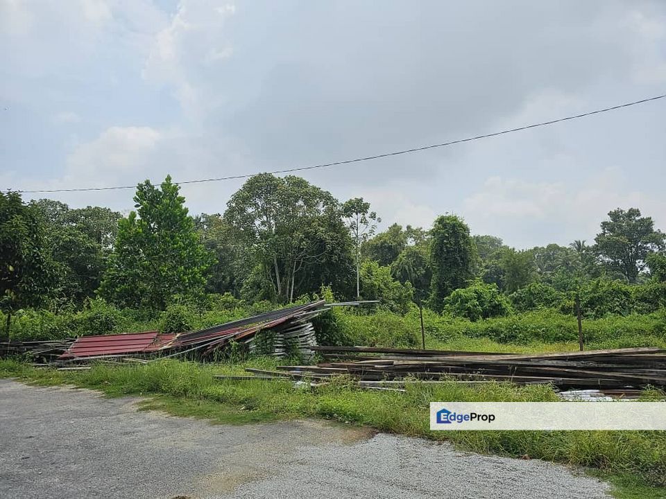 LOT TANAH PERTANIAN SUKU EKAR LEBIH DI SEBELAH TAMAN MAULANA PEKAN, Pahang, Pekan