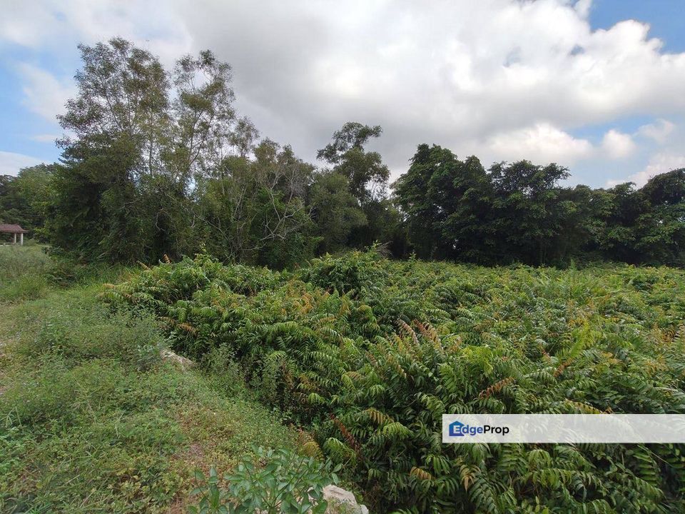 TANAH PERTANIAN CEMPAKA KUANTAN UNTUK DIJUAL, Pahang, Kuantan