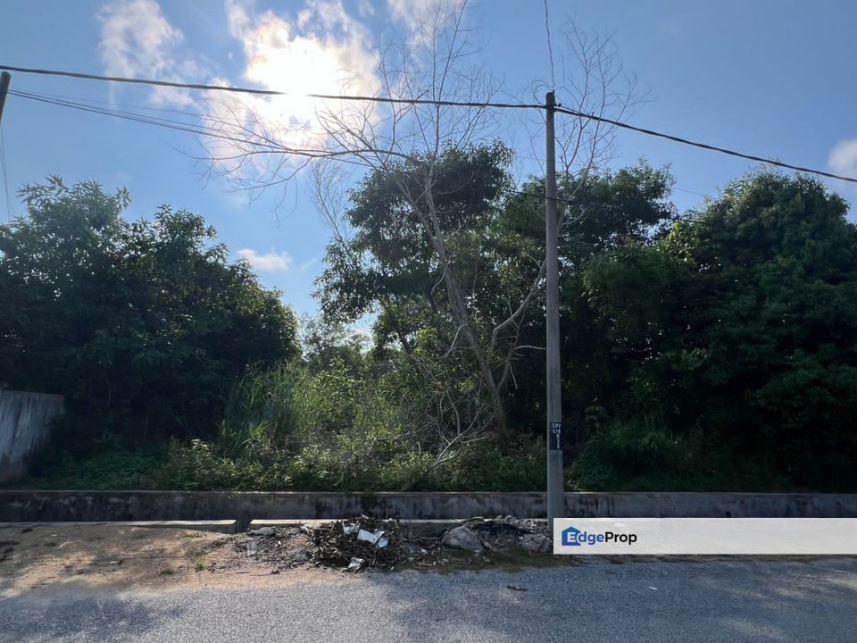 Tanah Bangunan Peramu Permai Untuk Dijual, Pahang, Pekan