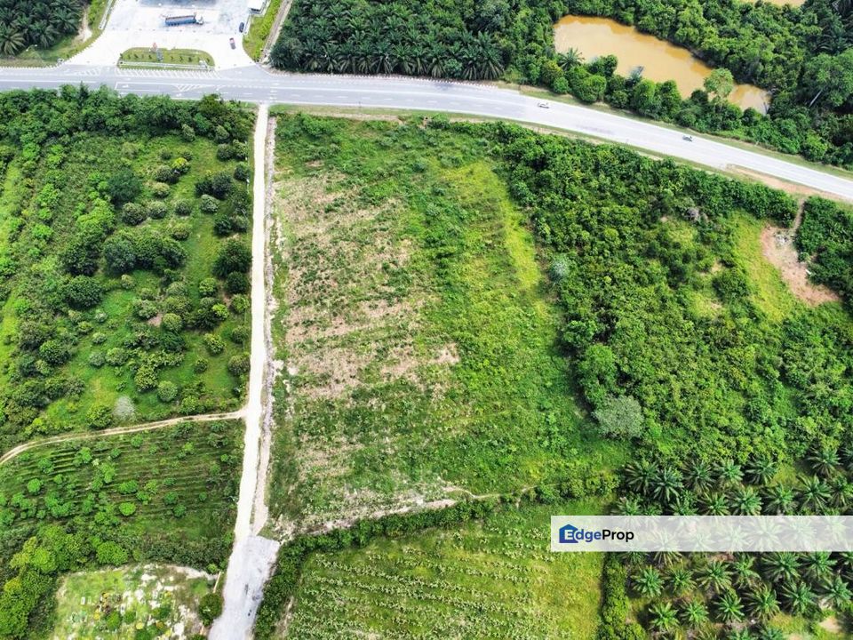 Tanah Pertanian di Kg Sg Kepong Mentakab Untuk Dijual, Pahang, Mentakab